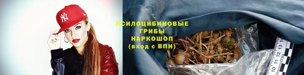 стафф Баксан