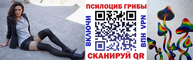 Галлюциногенные грибы Psilocybine cubensis  кракен онион  Барабинск 