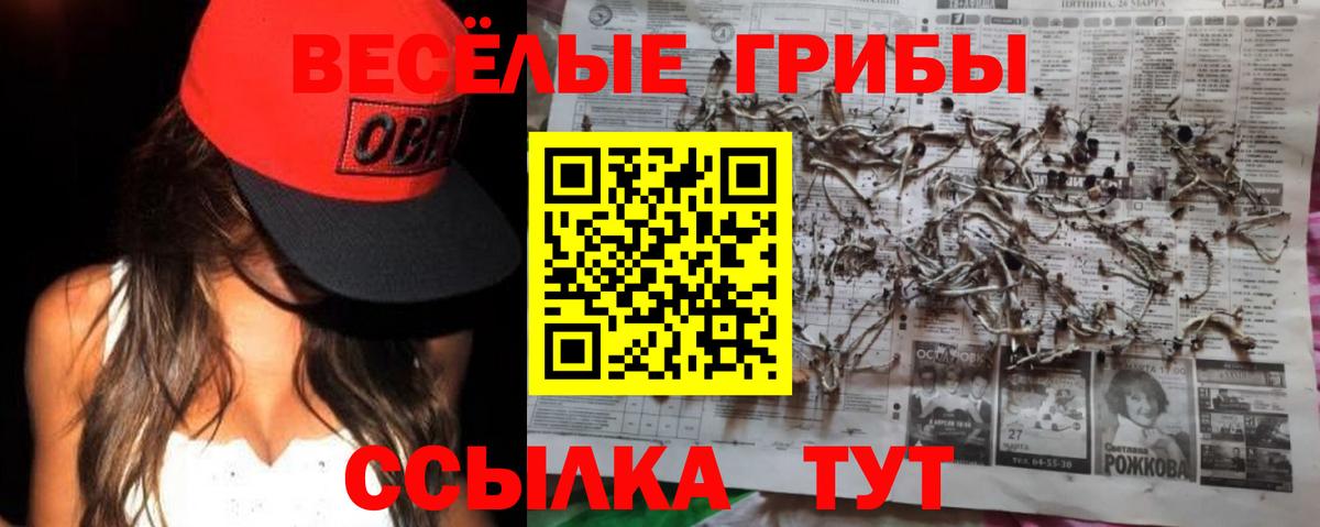 Псилоцибиновые грибы прущие грибы  Вход с VPN  Псилоцибиновые грибы Cubensis  хочу наркоту  Барабинск 