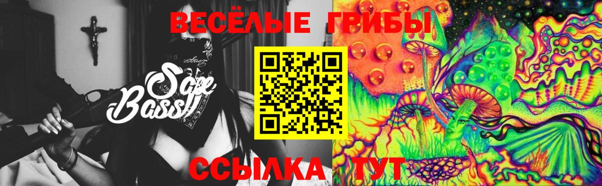 Галлюциногенные грибы Psilocybine cubensis Барабинск
